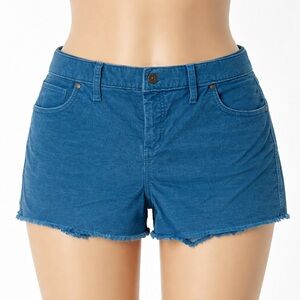 Carve Design Women’s Blue Corduroy Raw Cutoff Shorts Size 10